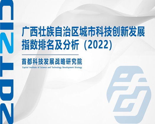 我想看大牛子超小逼逼【成果发布】广西壮族自治区城市科技创新发展指数排名及分析（2022）